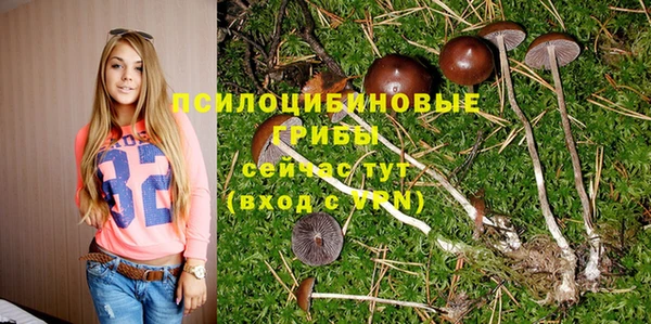 марки nbome Бородино