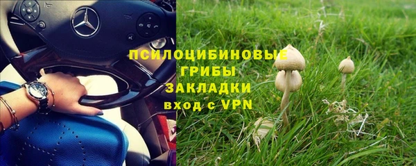 марки nbome Бородино