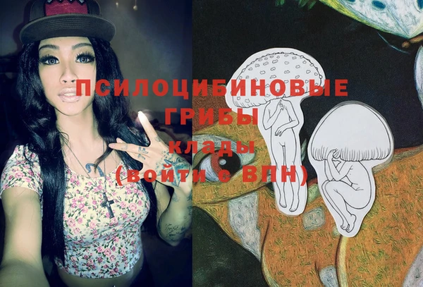 MDMA Premium VHQ Бронницы