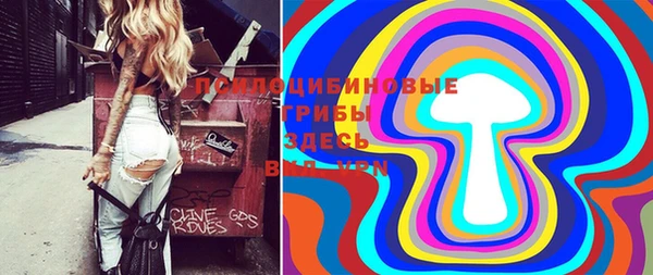 крисы Верхний Тагил