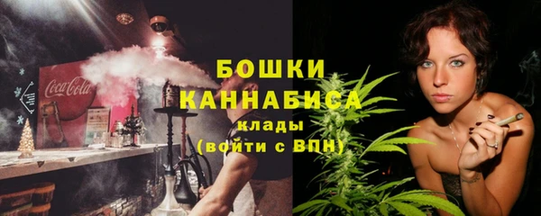 стаф Волосово
