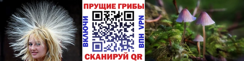 Псилоцибиновые грибы GOLDEN TEACHER  Городище 
